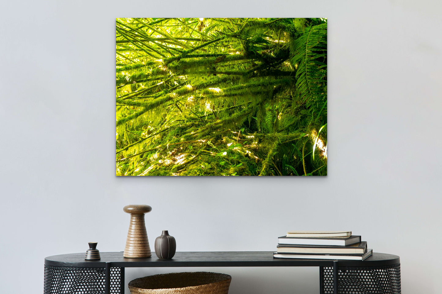 Neon Undergrowth. Tillamook, Oregon. /50