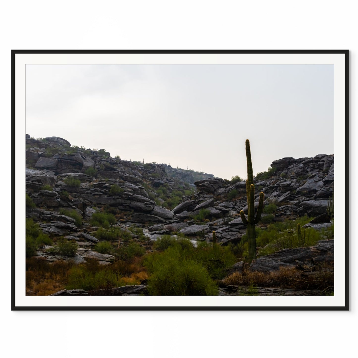 Break in the Monsoon. South Mountain, Arizona. /20