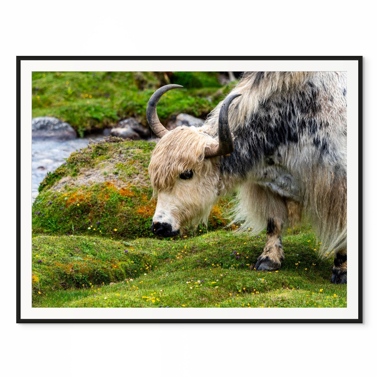 Dinner Time. Everest Base Camp Trail, Nepal. /50