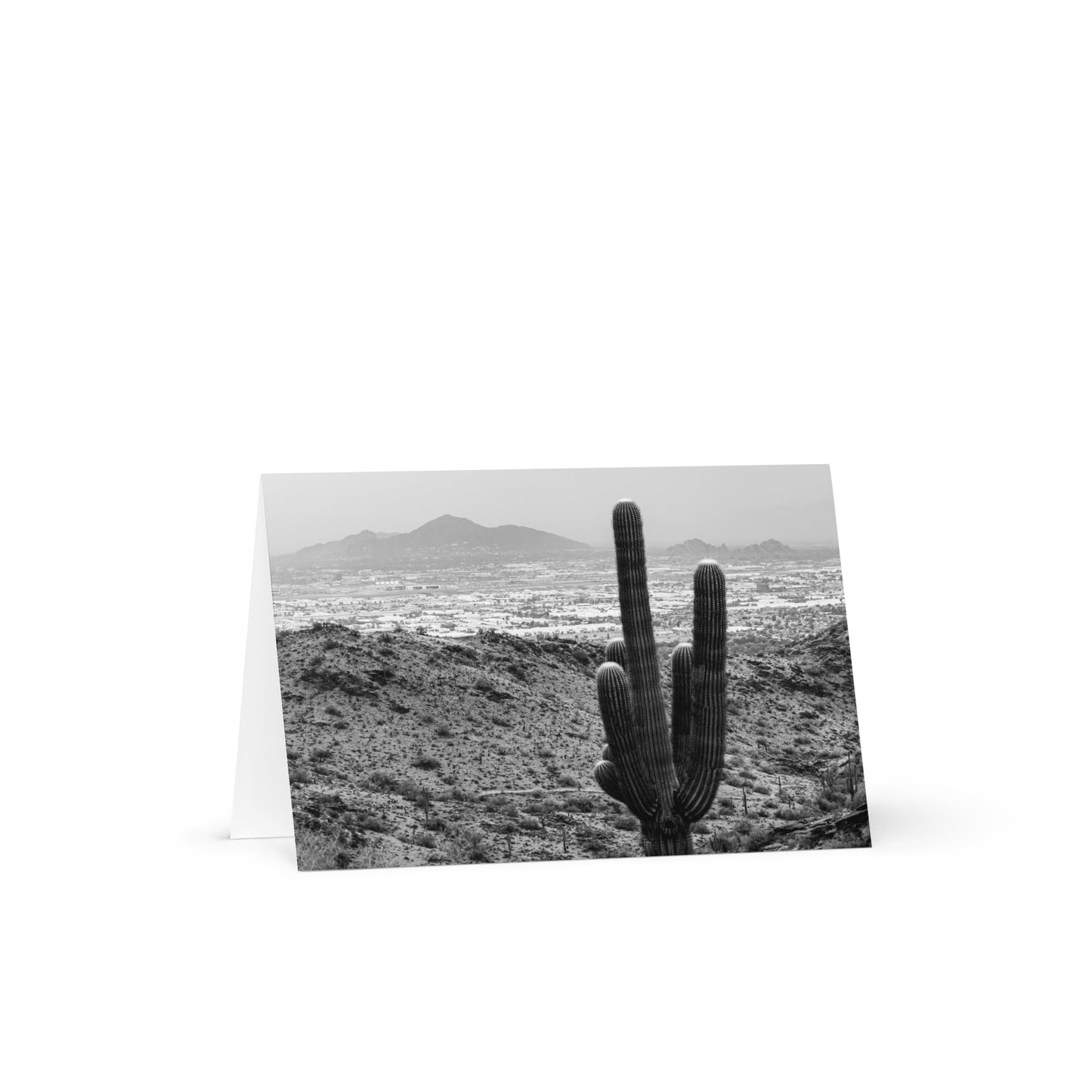 Camel and Cactus Greeting Card