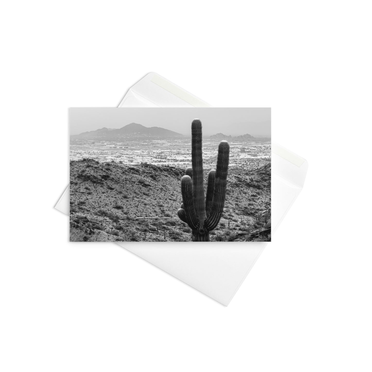Camel and Cactus Greeting Card