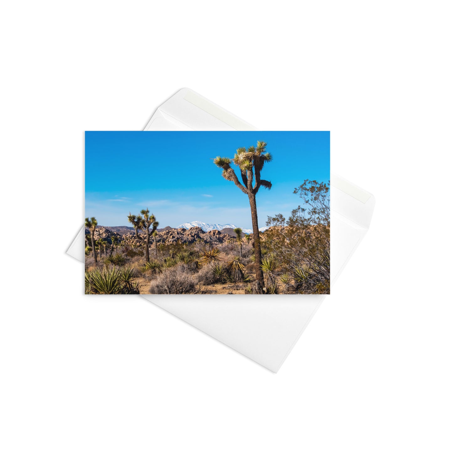 Joshua Tree Greeting Card