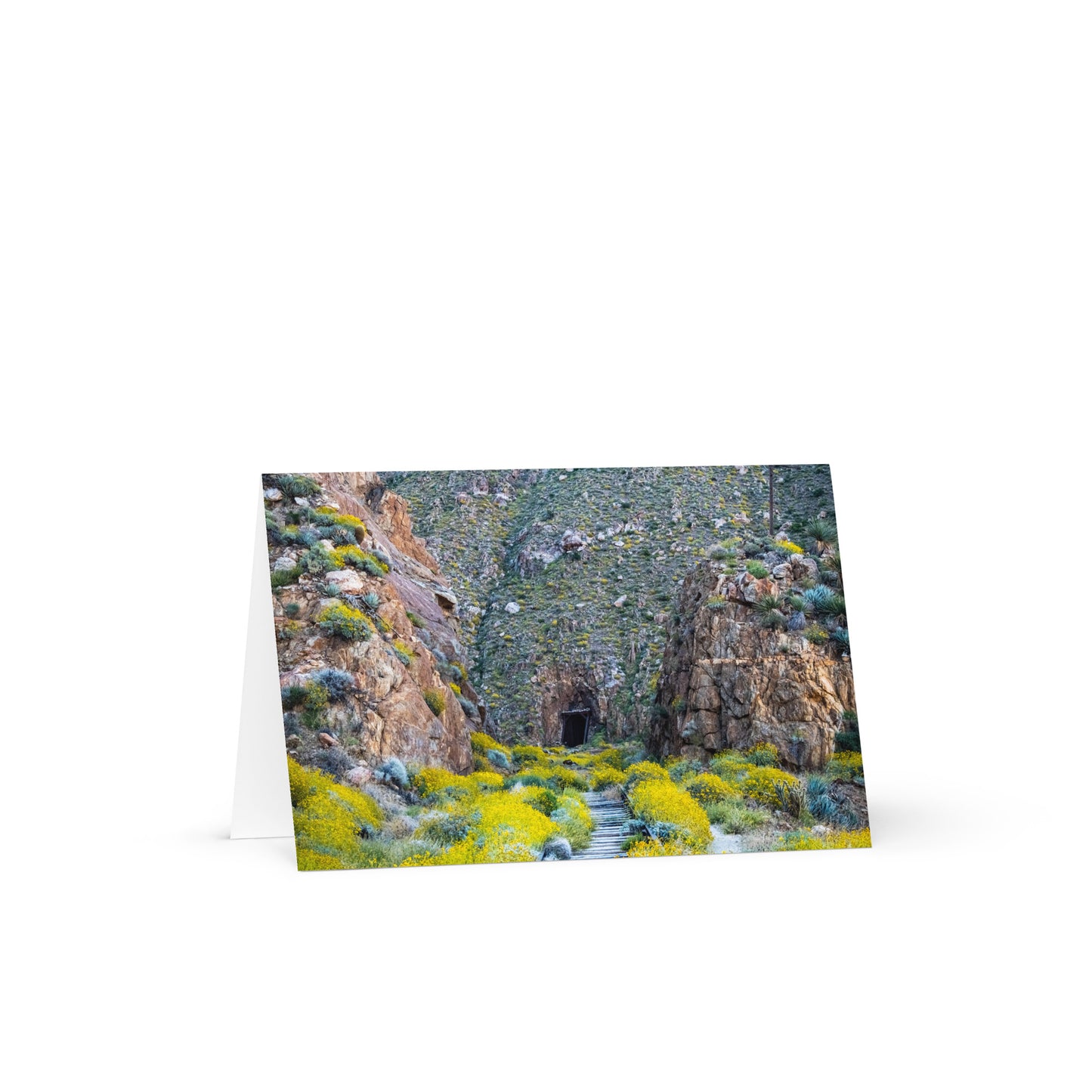 Bloom and Beautiful Reminisce Greeting Card