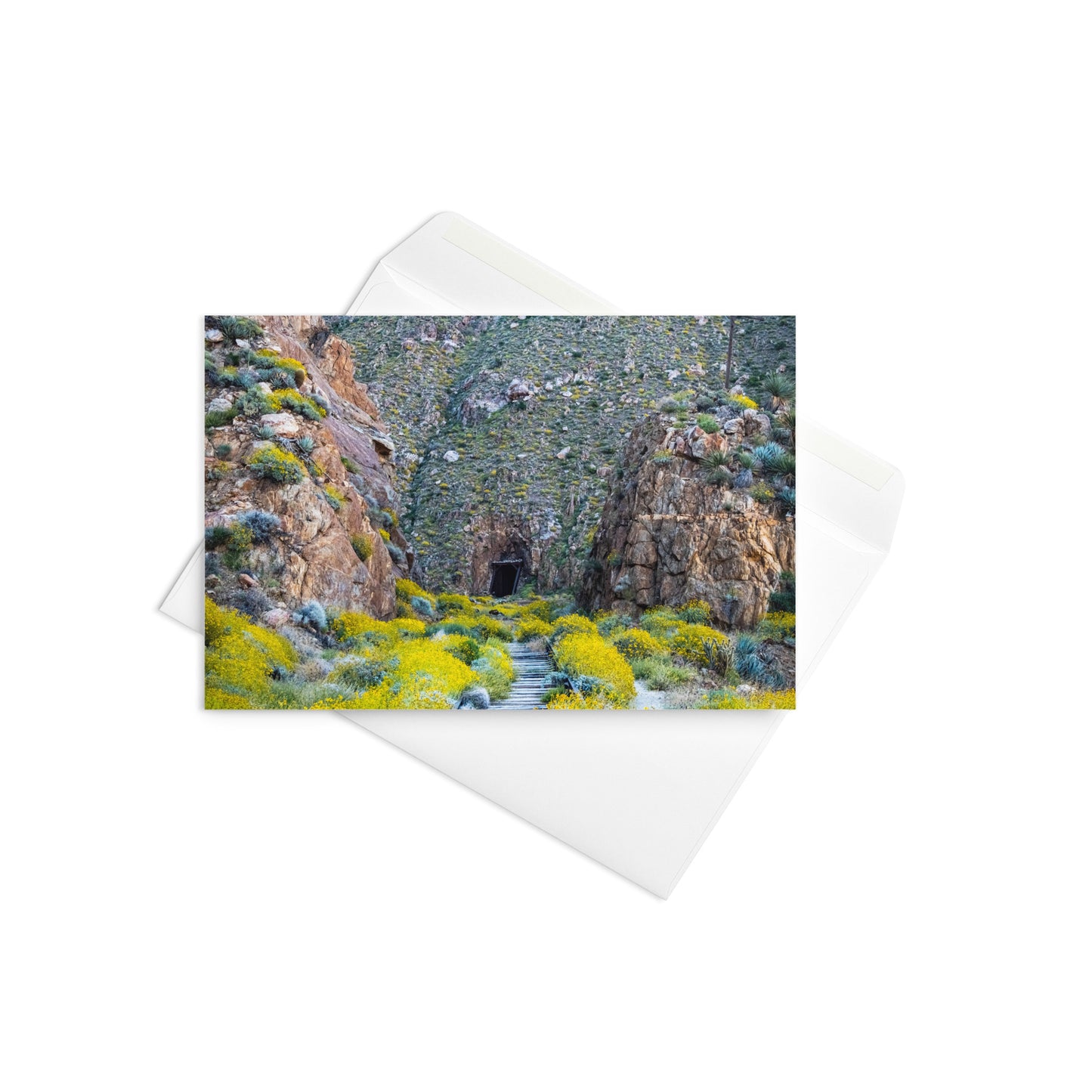 Bloom and Beautiful Reminisce Greeting Card