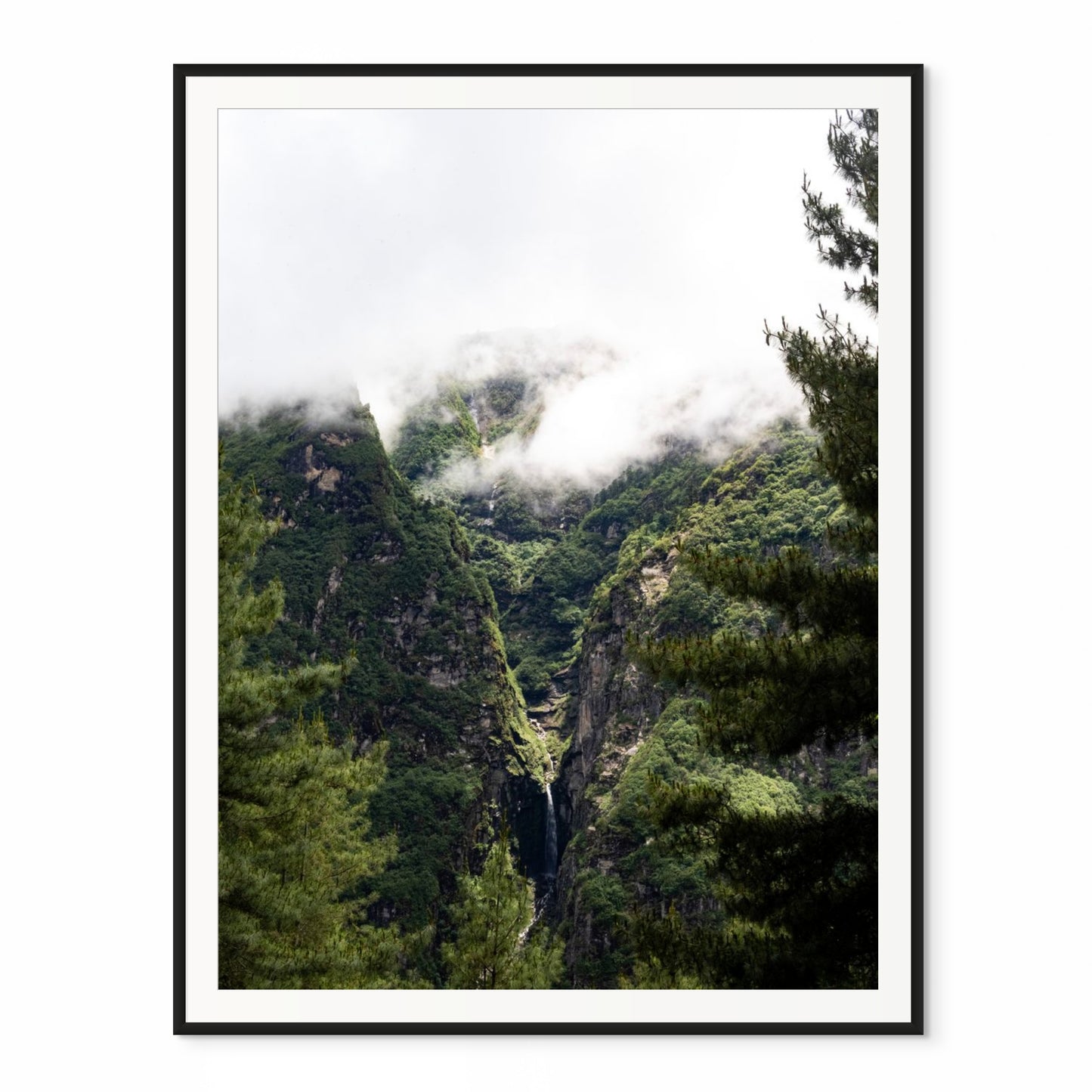 Himalayan Rainforest. Everest Base Camp Trail, Nepal. /50
