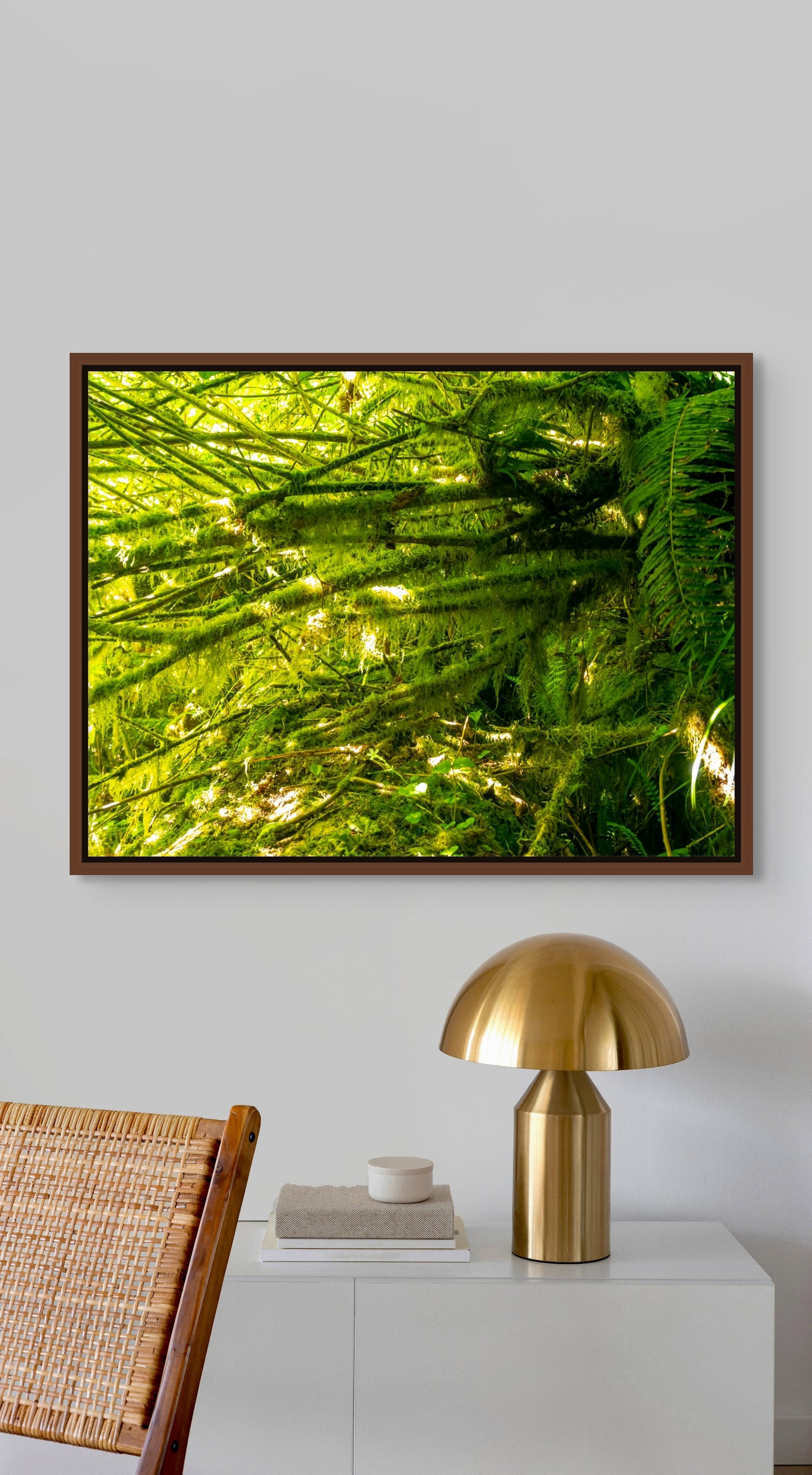 Neon Undergrowth. Tillamook, Oregon. /50