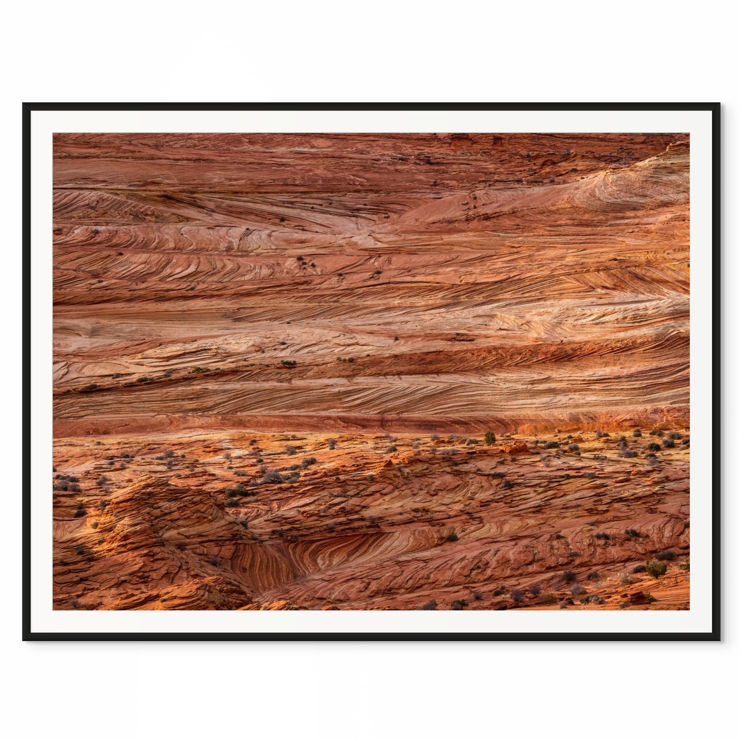 Petrified Waves. The Wave, Arizona. /20