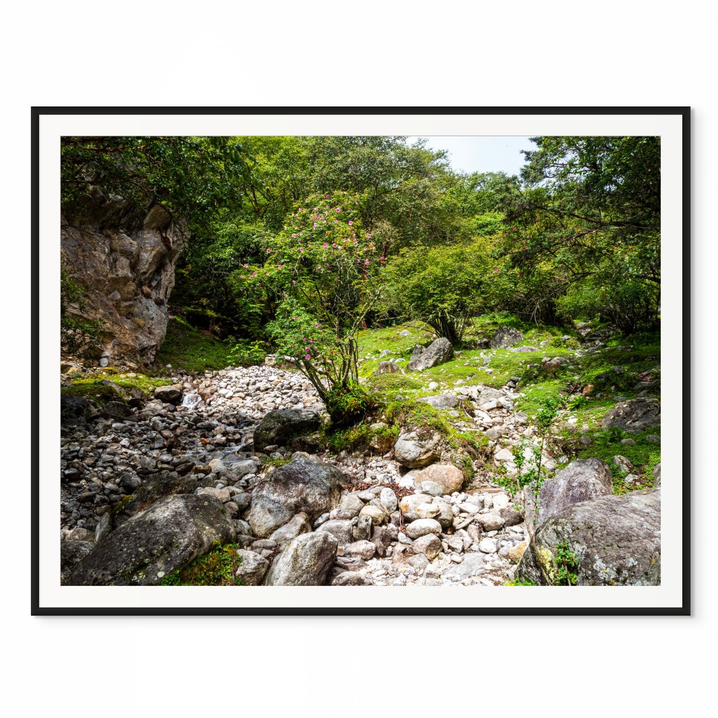 Serene Meadow. Everest Base Camp Trail, Nepal. /50