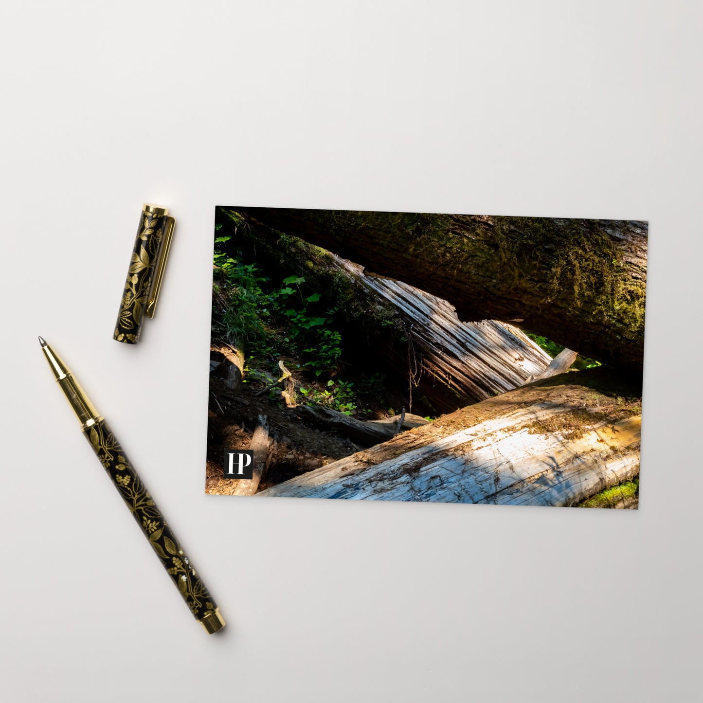 Oregon Timber Postcard