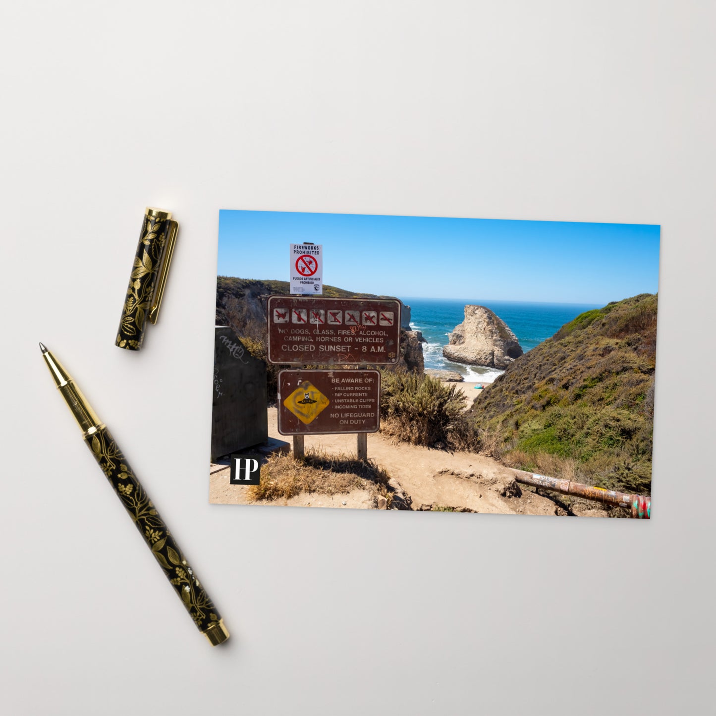 Shark Fin Postcard