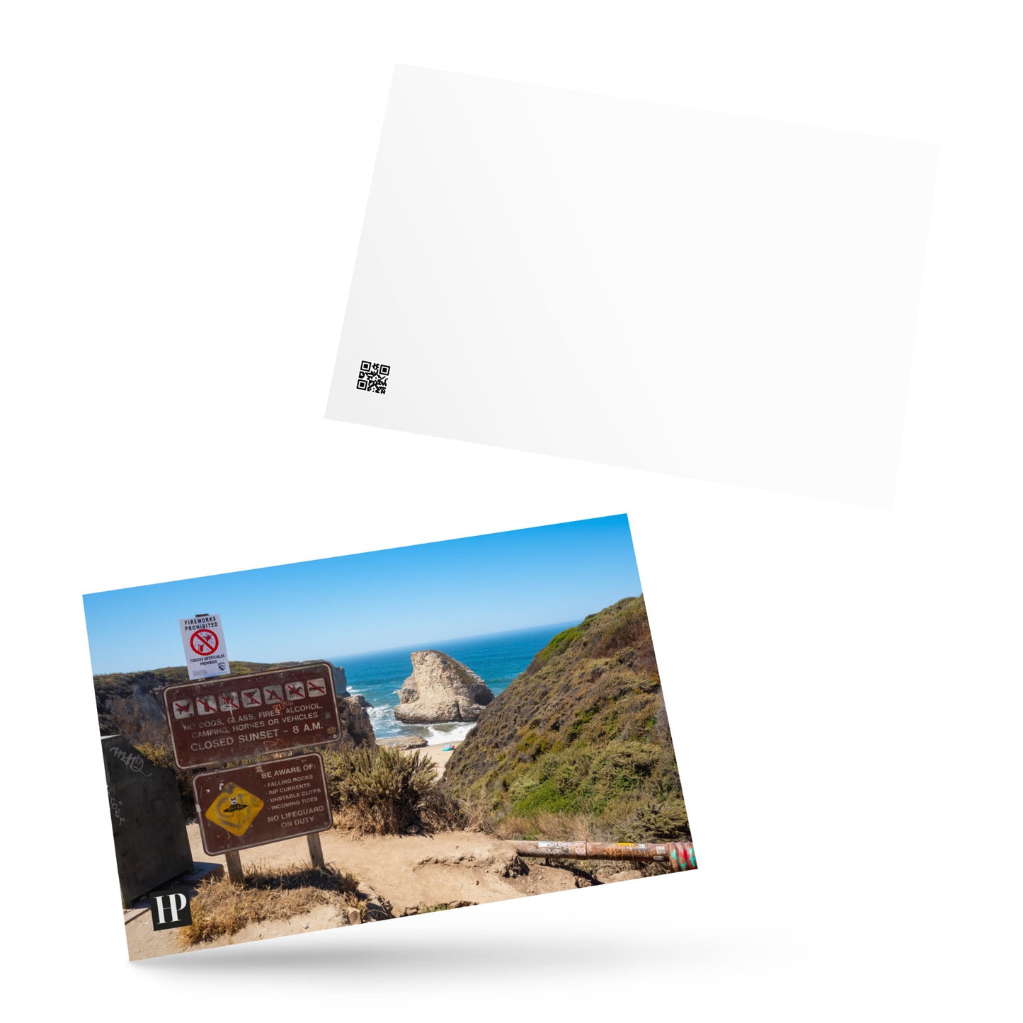 Shark Fin Postcard