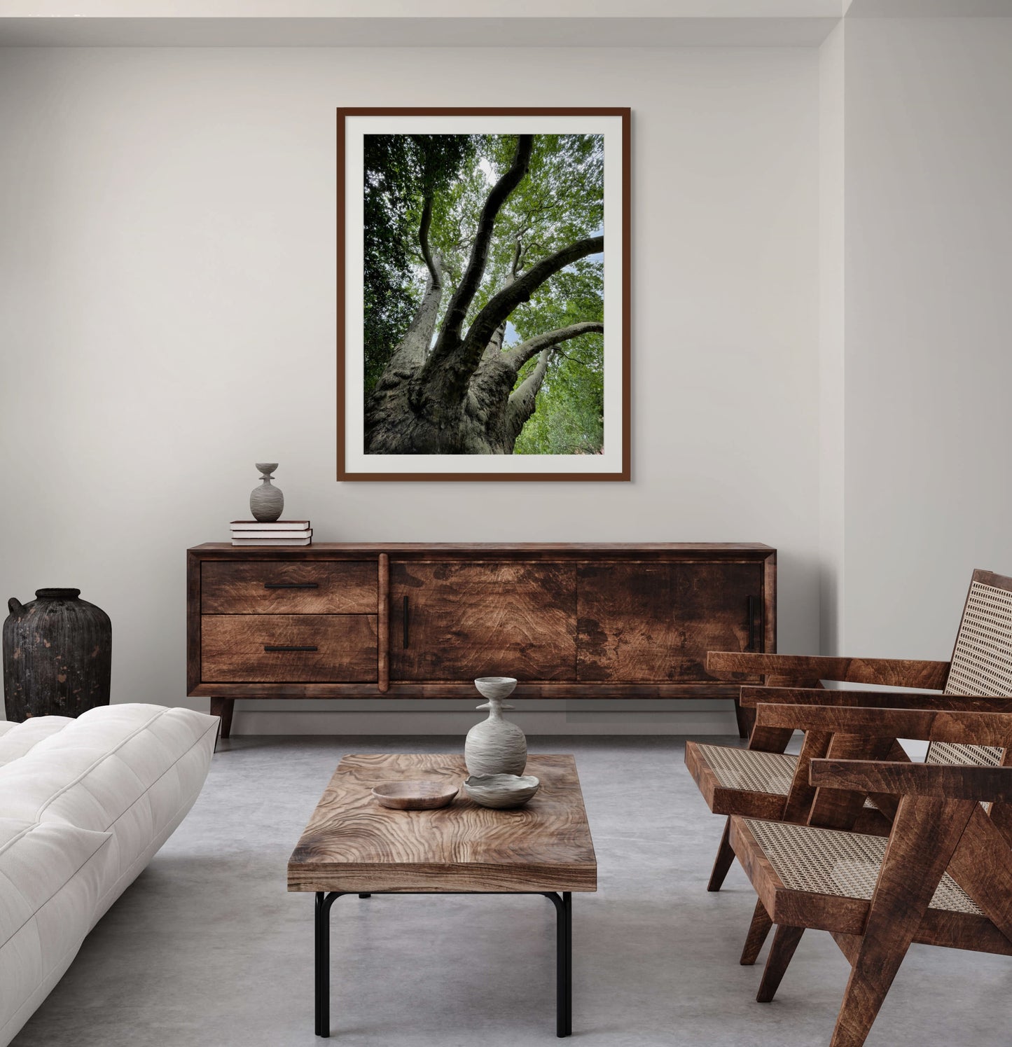 Sycamore. London, England. /50
