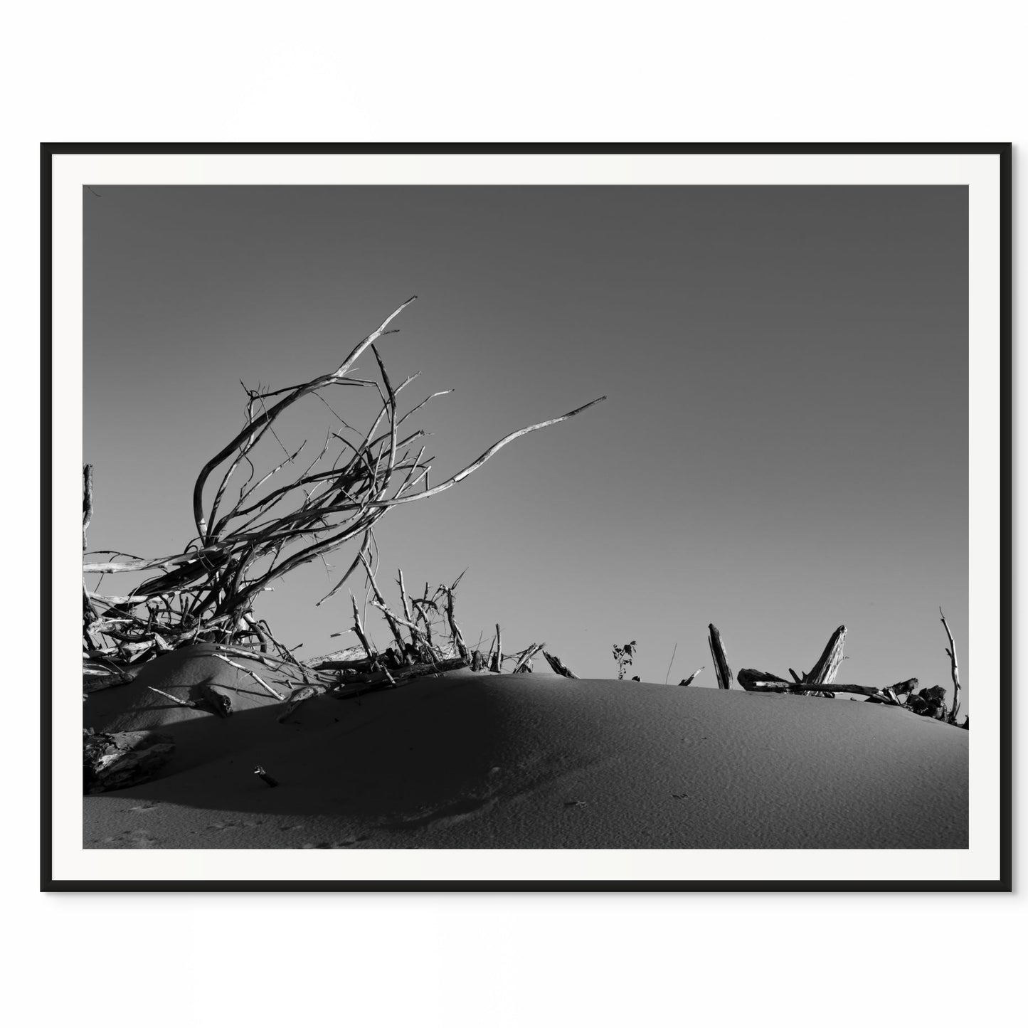 Washed Up. The Missouri River, Missouri. /50