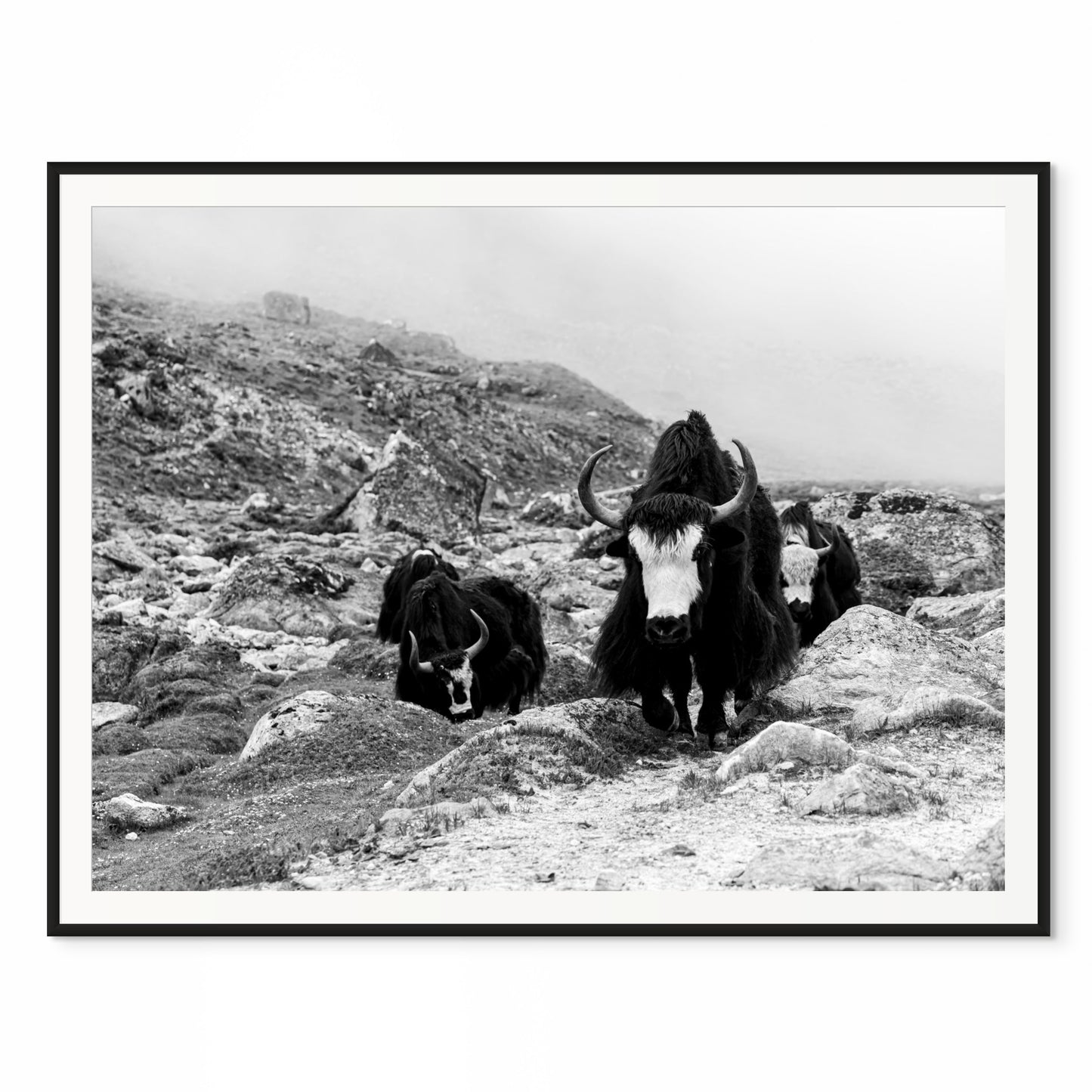 Watch Out!. Everest Base Camp Trail, Nepal. /50