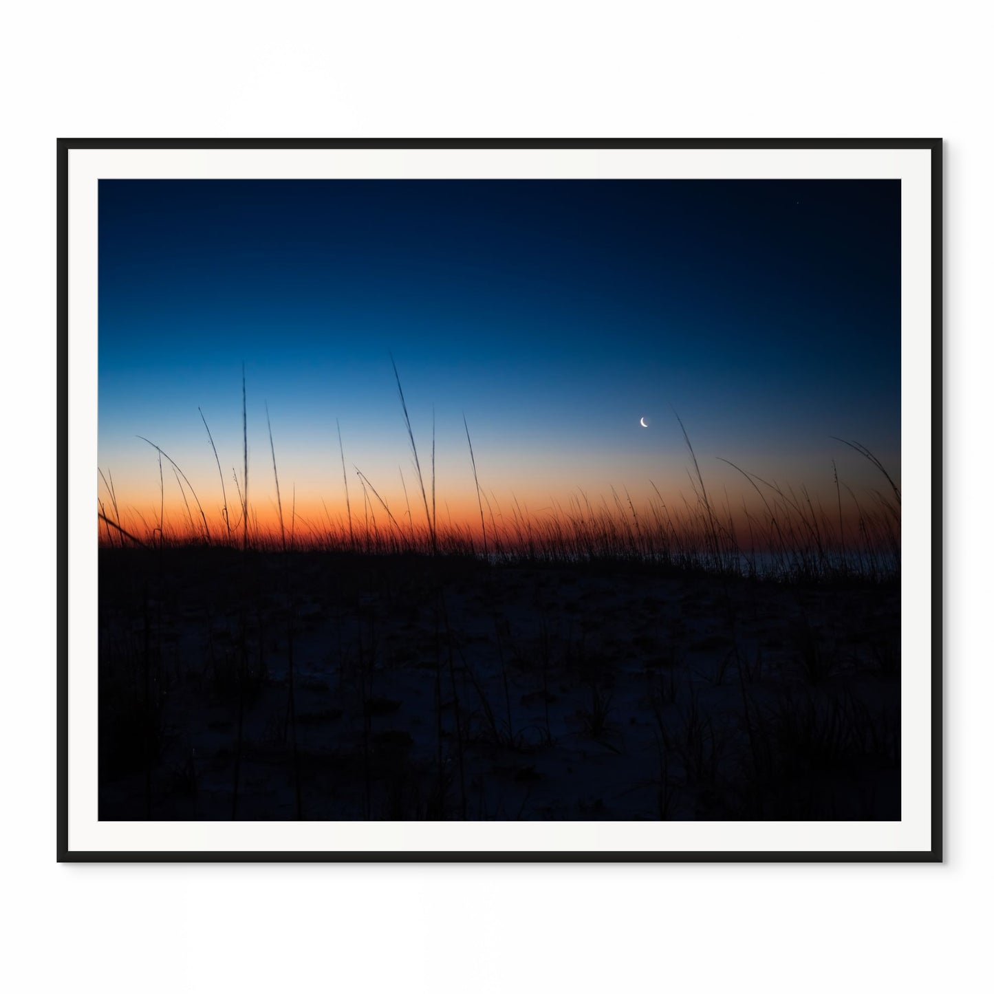 Dune at Dawn. Pensacola, Florida. /50