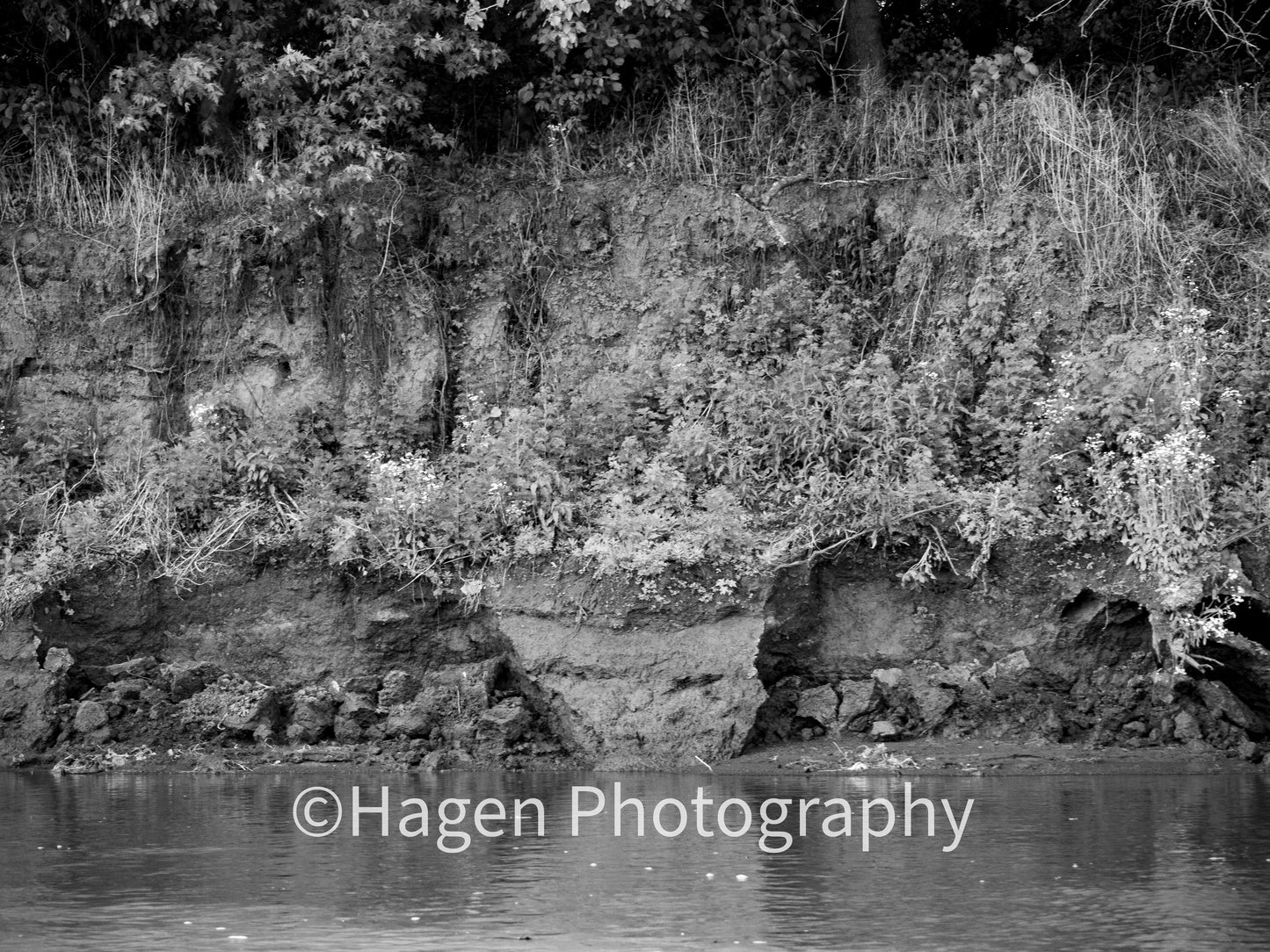 River Erosion. The Missouri River, Missouri. /30