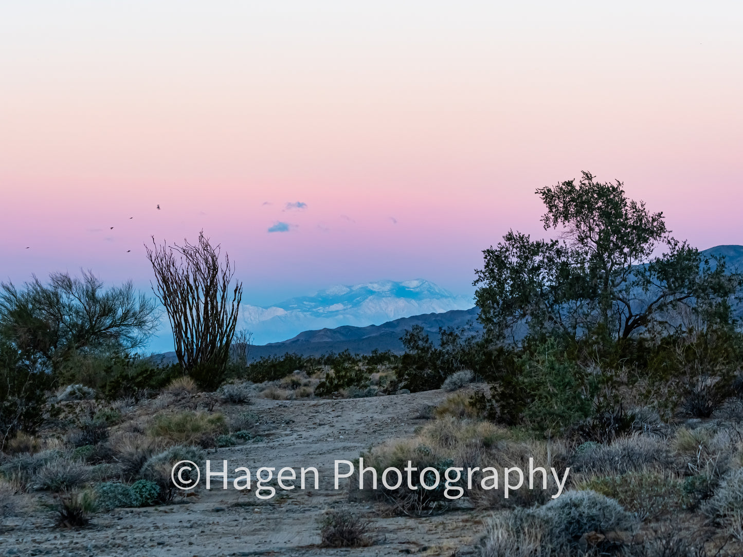 Sublime Sierra Sunrise. Joshua Tree NP, California. /30