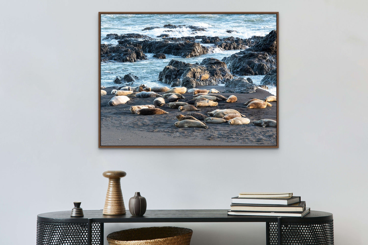 Elefantes marinos (horizontal) - Lost Coast, California /50