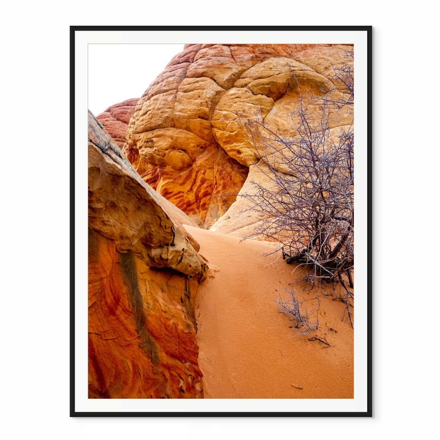 A Tale of Time. The Wave, Arizona. /20