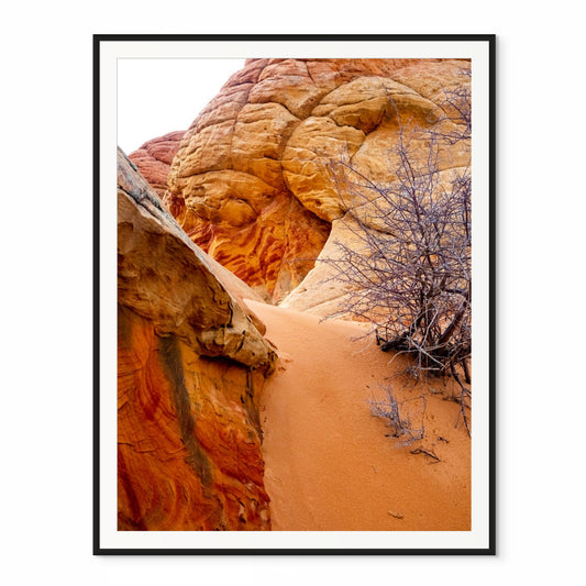 A Tale of Time. The Wave, Arizona. /20