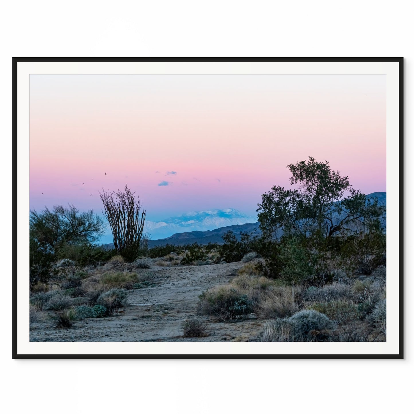 Sublime amanecer en la Sierra Nevada. Parque Nacional Joshua Tree, California. /20