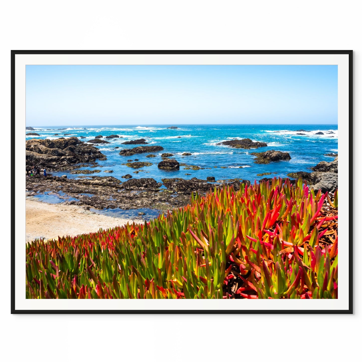 Succulents and Waves. Glass Beach, Fort Bragg. /50