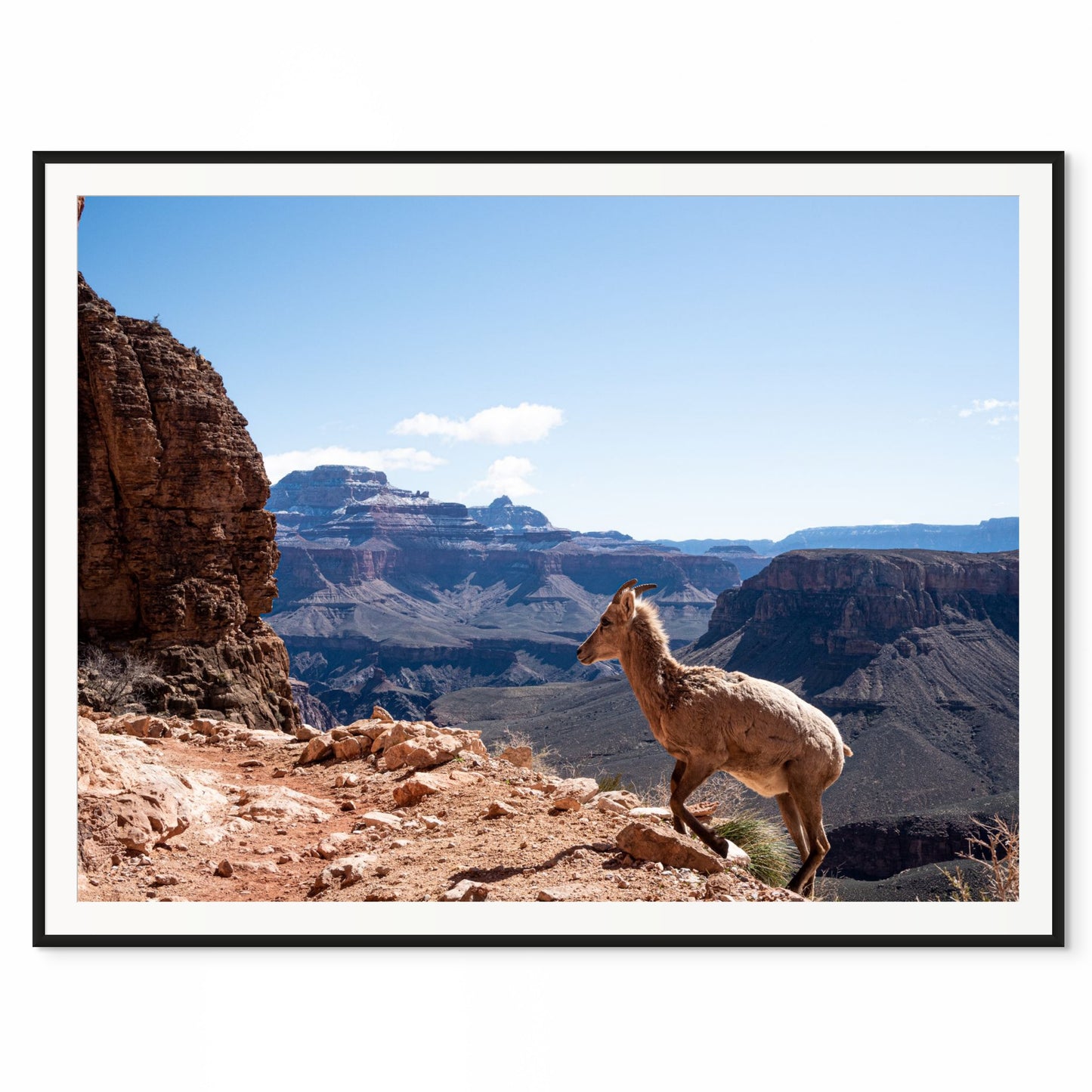 Como en casa. Parque Nacional del Gran Cañón, Arizona. /20