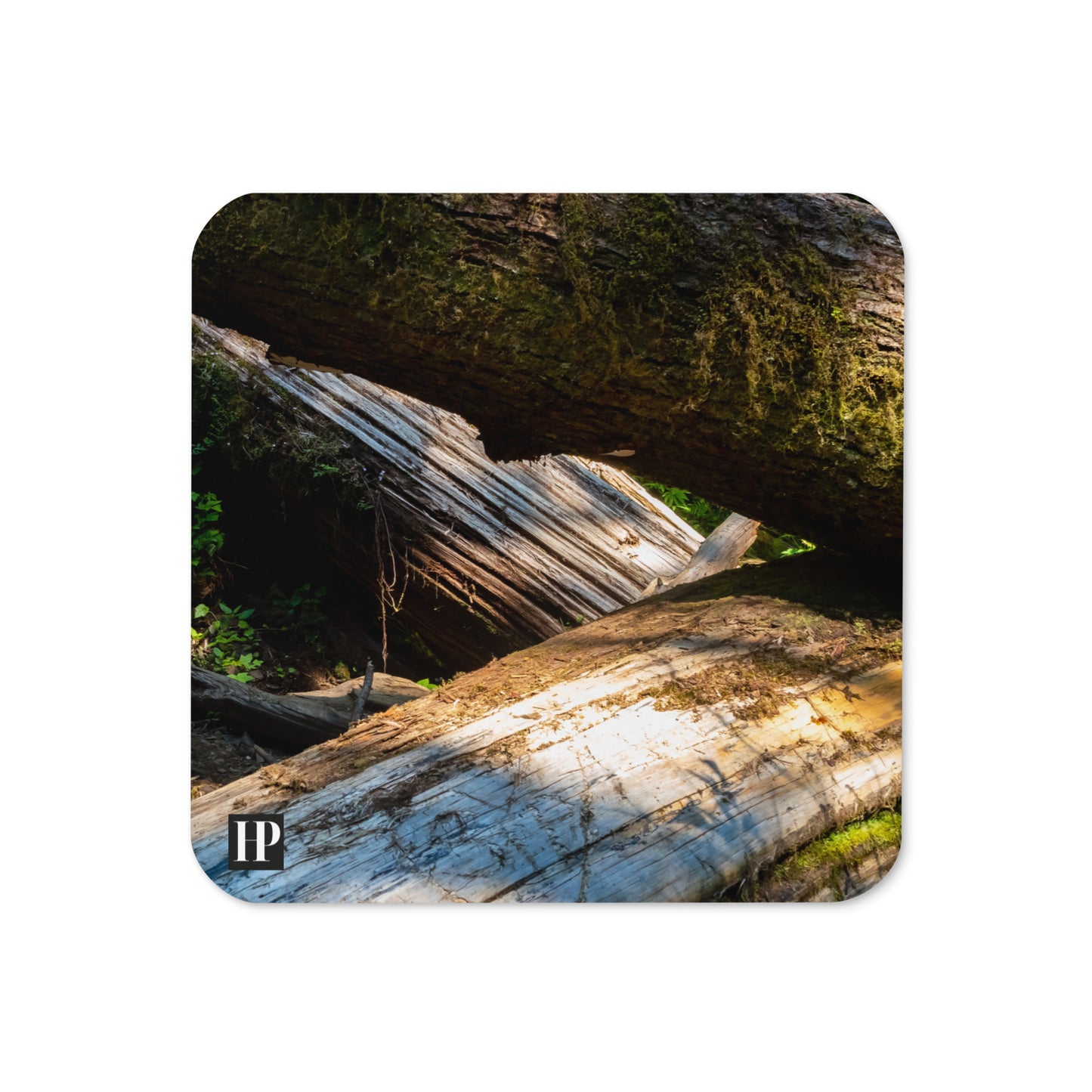 The Forest Coaster Set of 4
