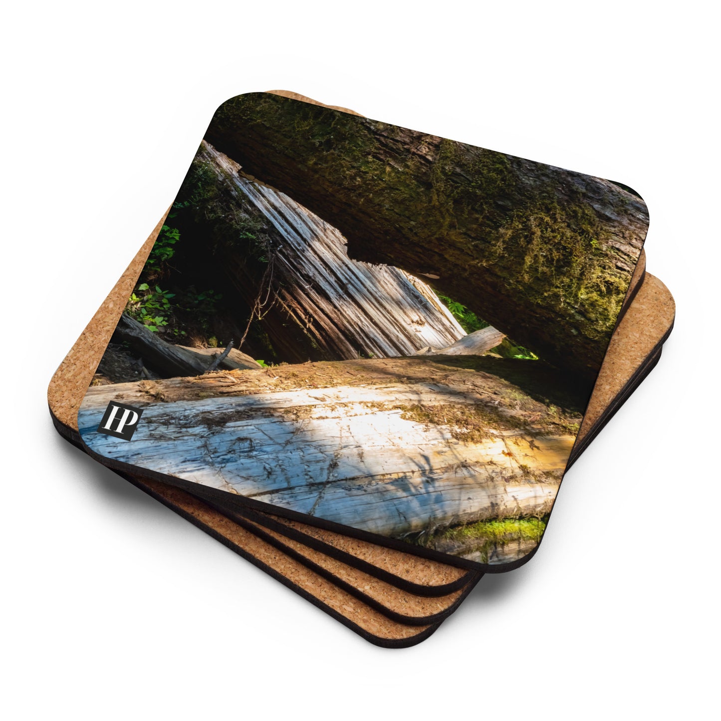 The Forest Coaster Set of 4