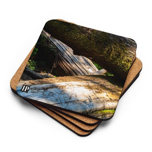 The Forest Coaster Set of 4
