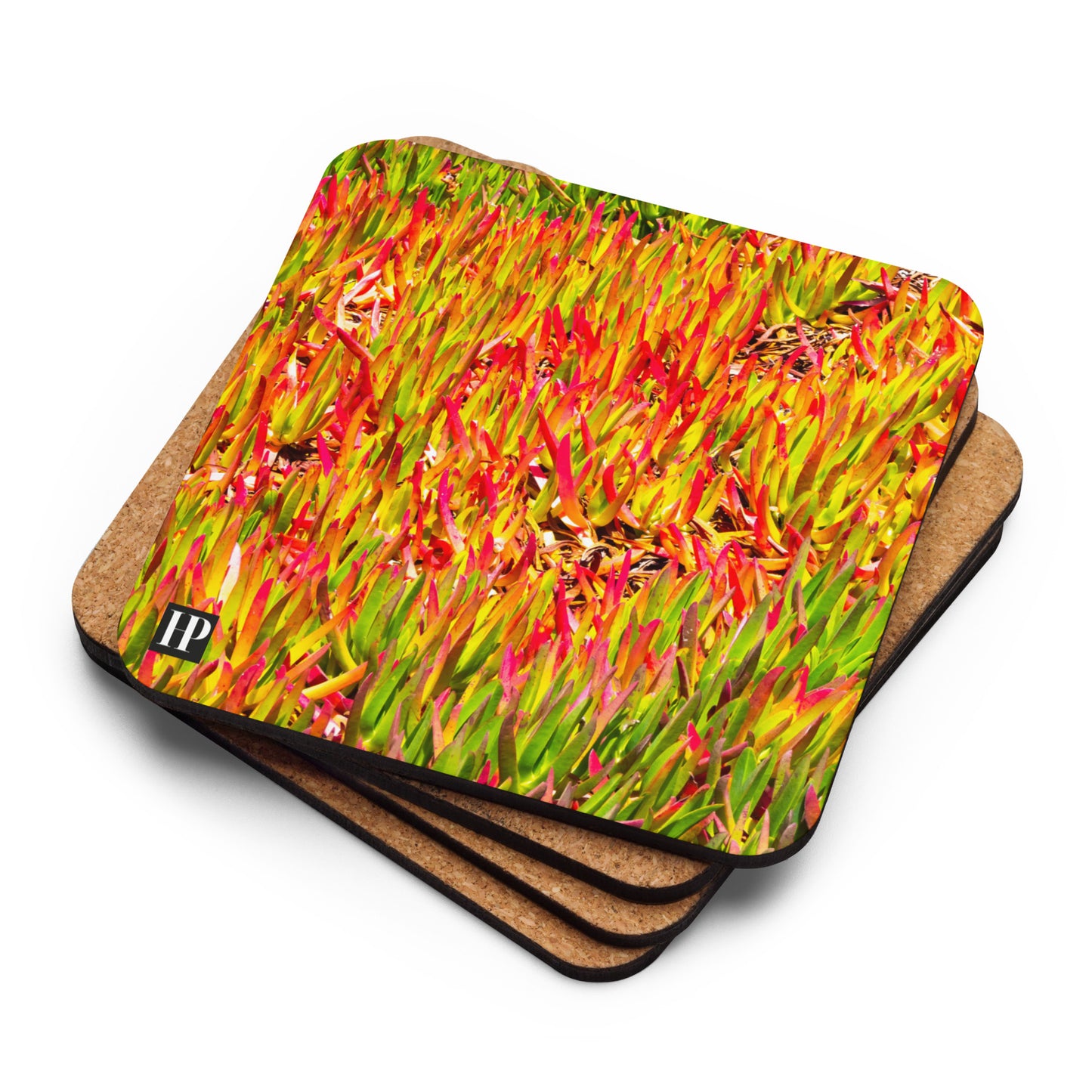 Succulents and Waves Coaster