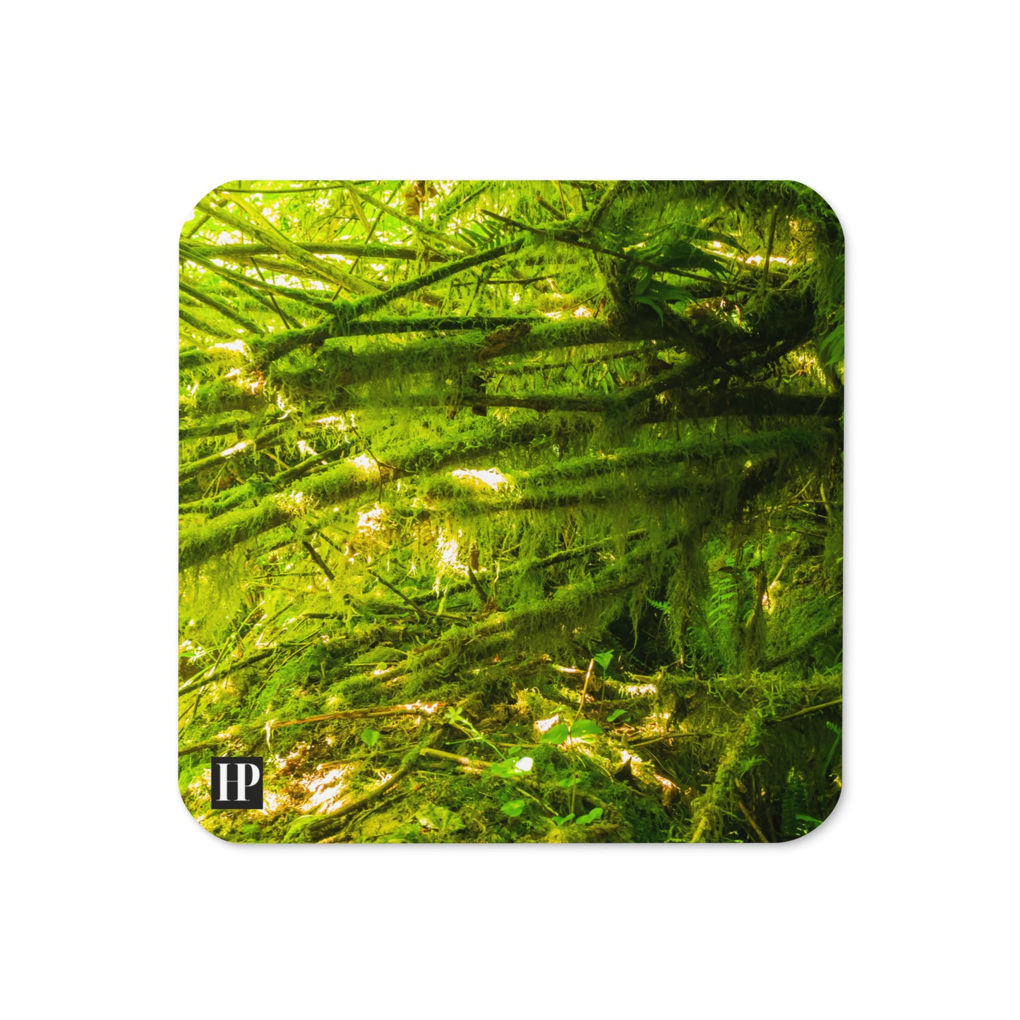 The Forest Coaster Set of 4