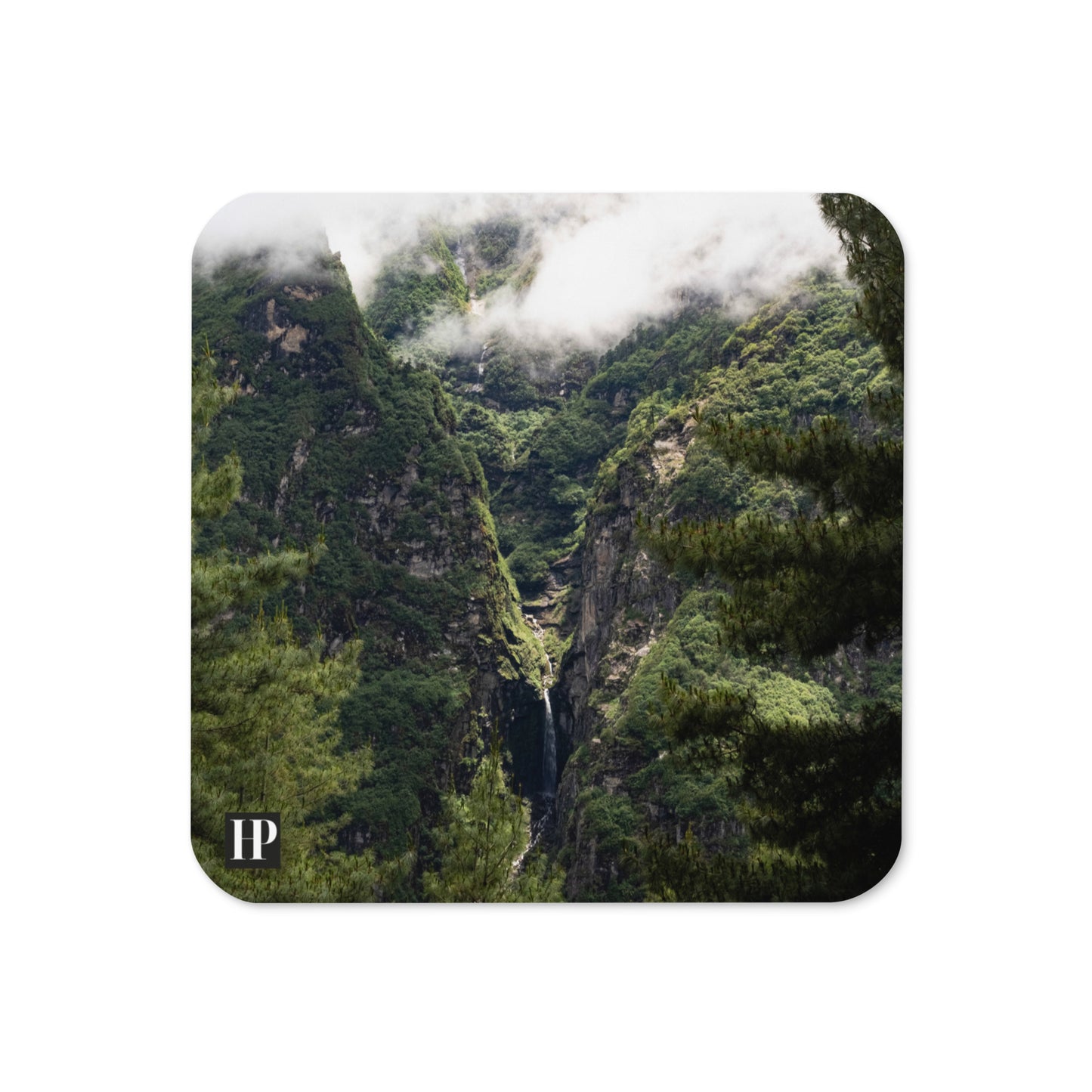 The Forest Coaster Set of 4