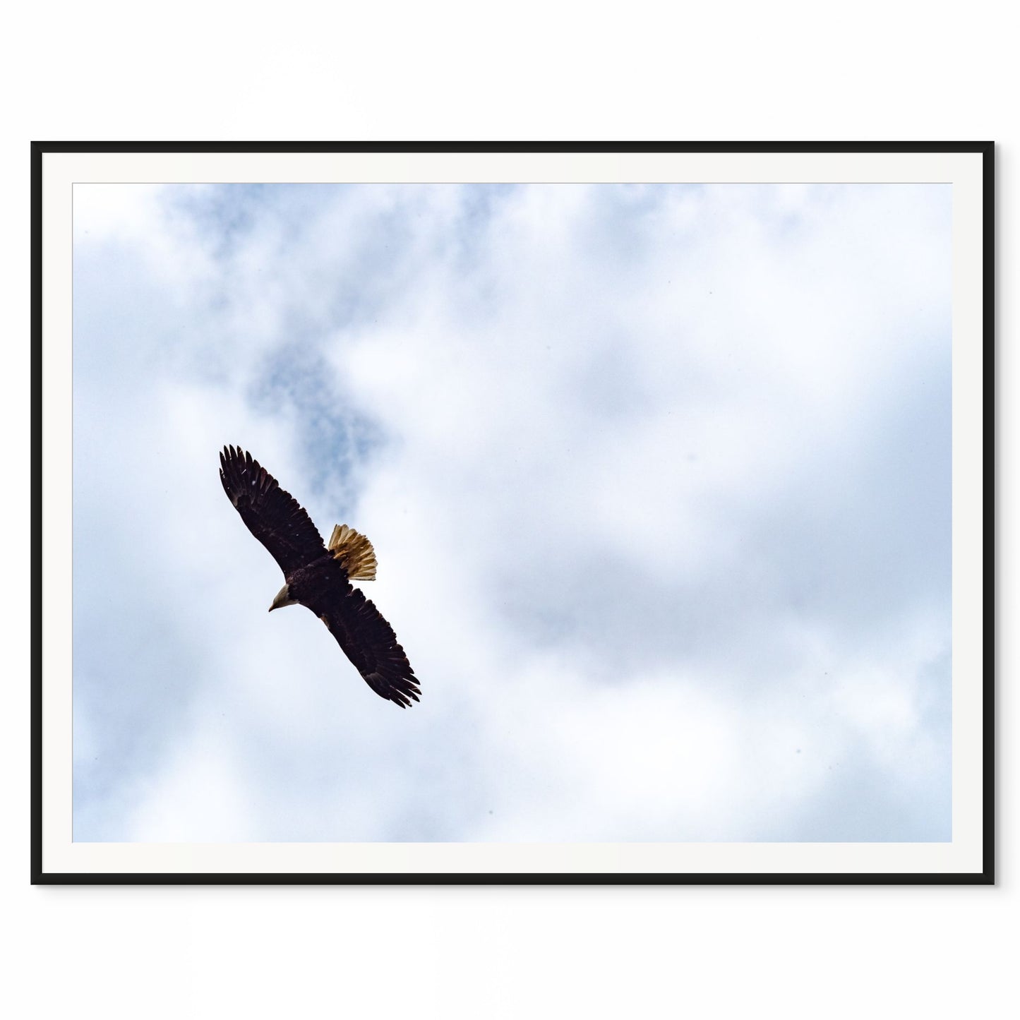 Flight. The Missouri River, Missouri. /20