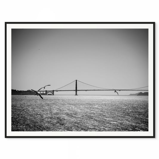 Golden Gate from Lockup. San Francisco, California. /50