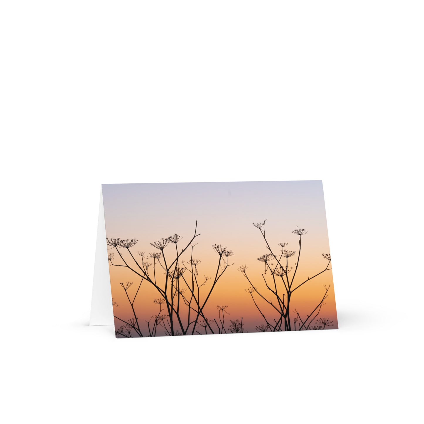 Pastels of the Sky Greeting Card