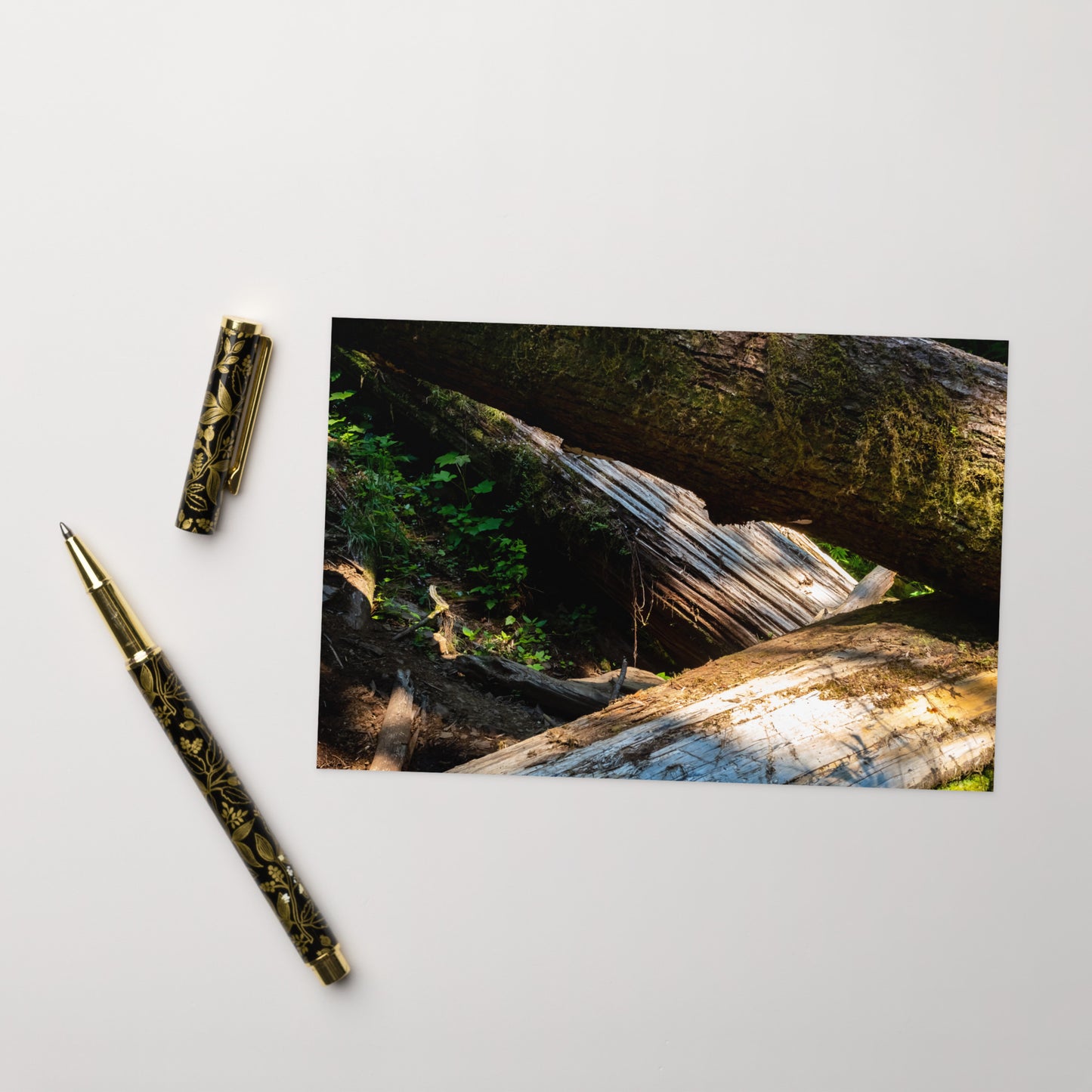 Oregon Timber Greeting Card