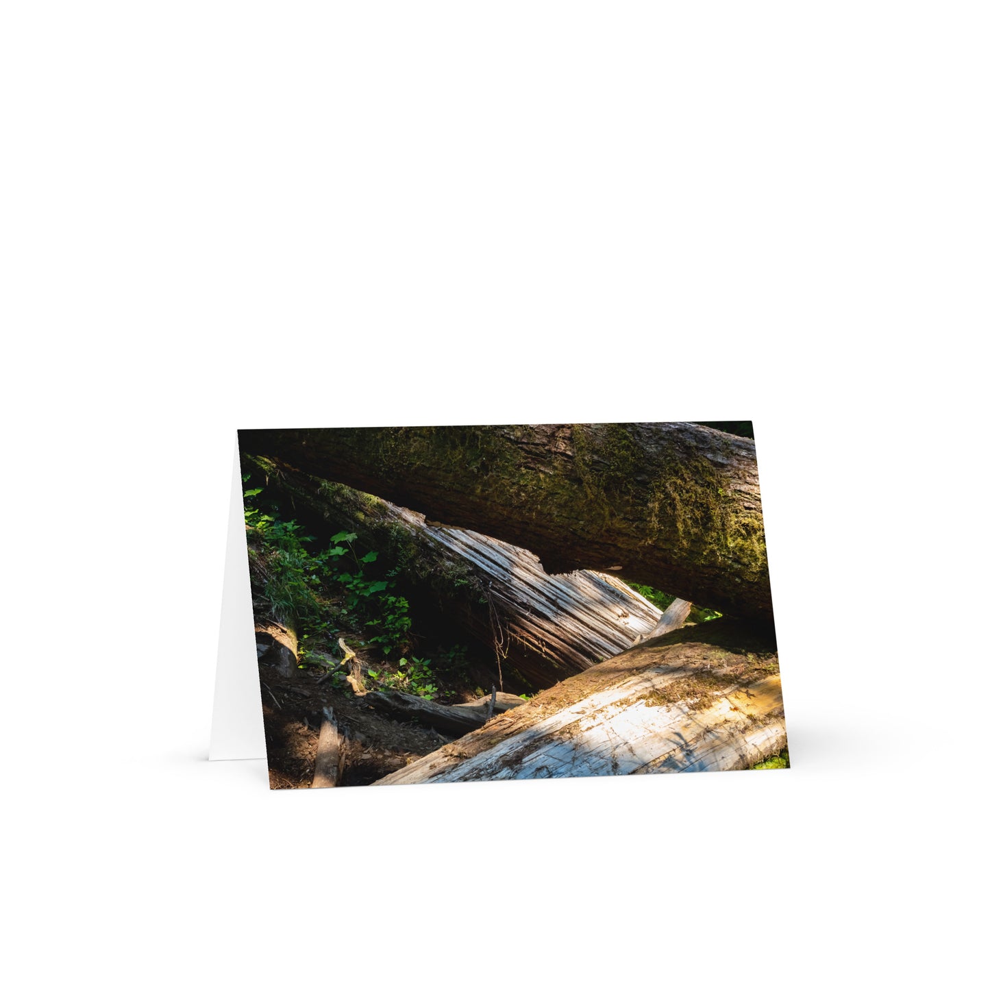 Oregon Timber Greeting Card