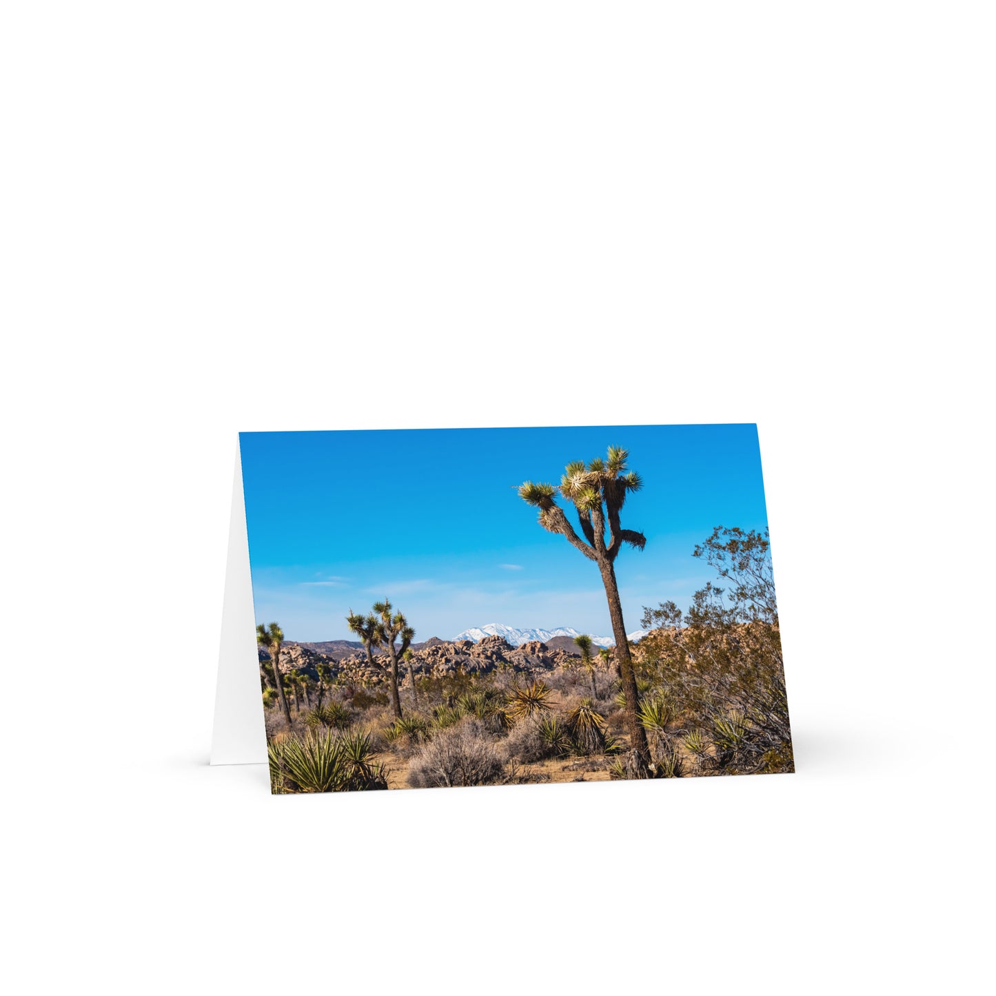 Joshua Tree Greeting Card