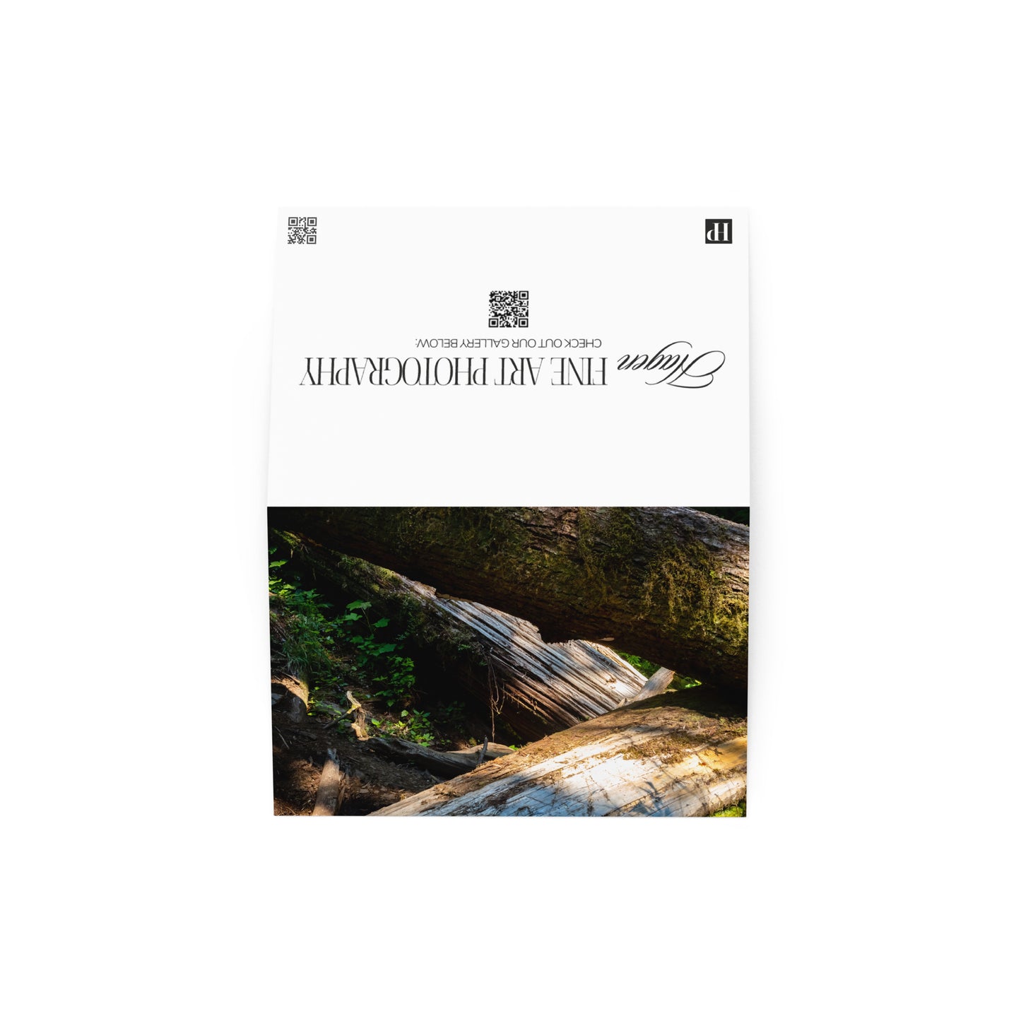 Oregon Timber Greeting Card