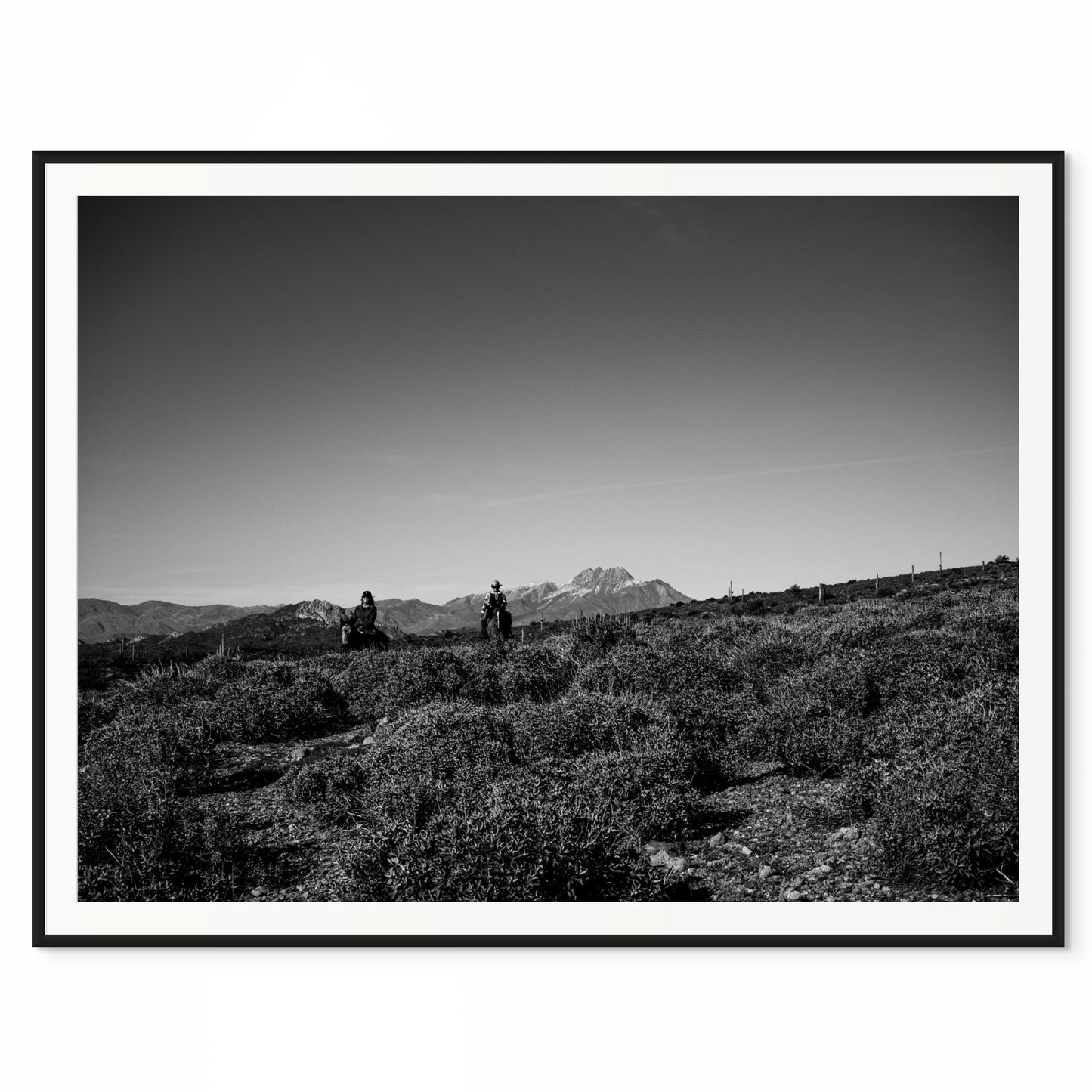 Life Out West. Superstition Mountains, Arizona. /20