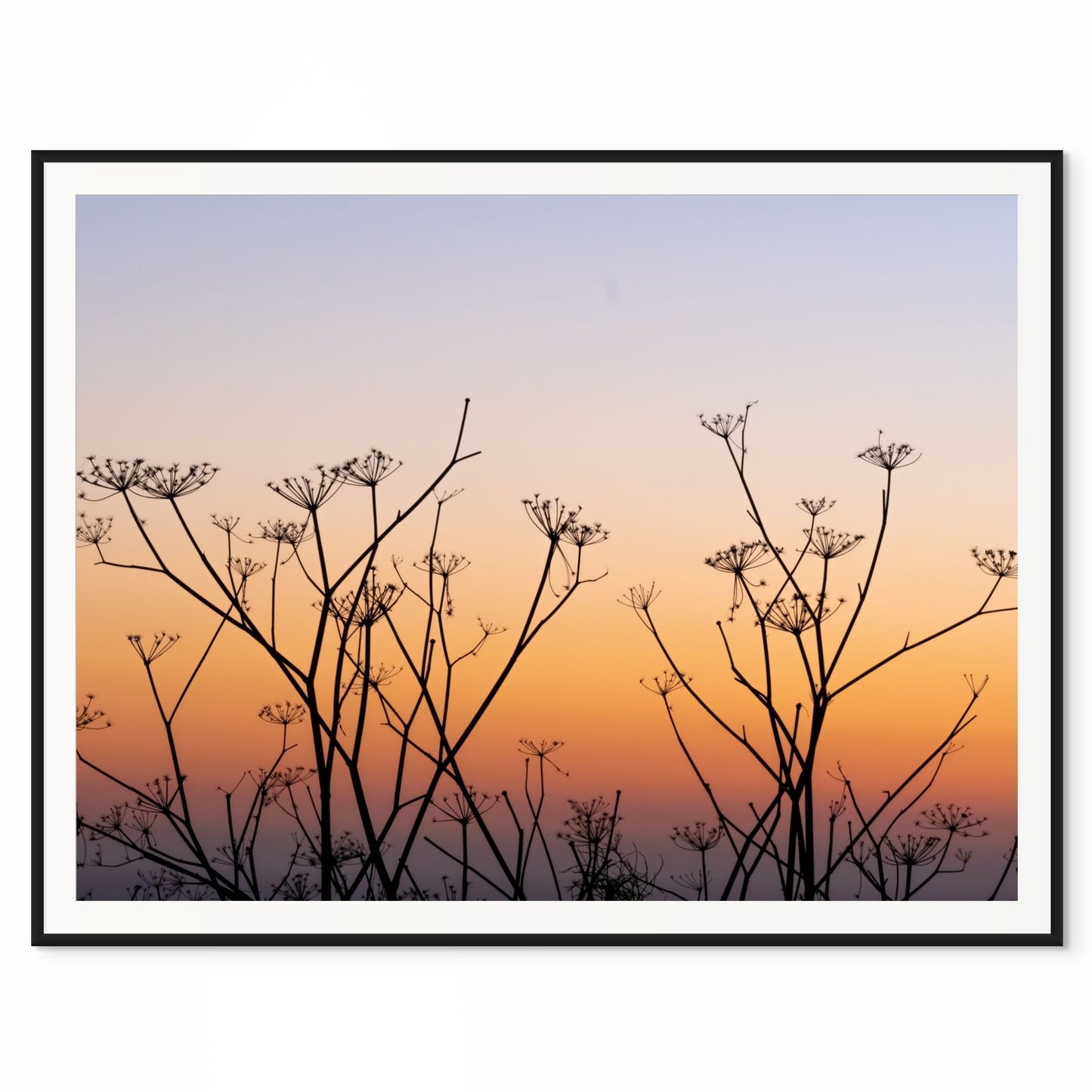 Pastels of the Sky. Big Sur, California. /50
