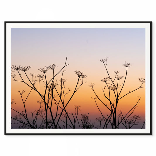 Pastels of the Sky. Big Sur, California. /50