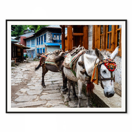 Vital Transit. Lukla, Nepal. /20